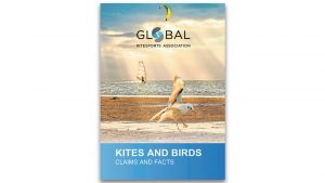 GKA - Kites and Birds